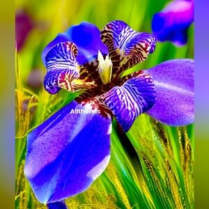 favorite colors!💜💛💚💙🩵